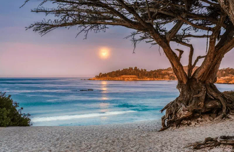 Carmel Beach