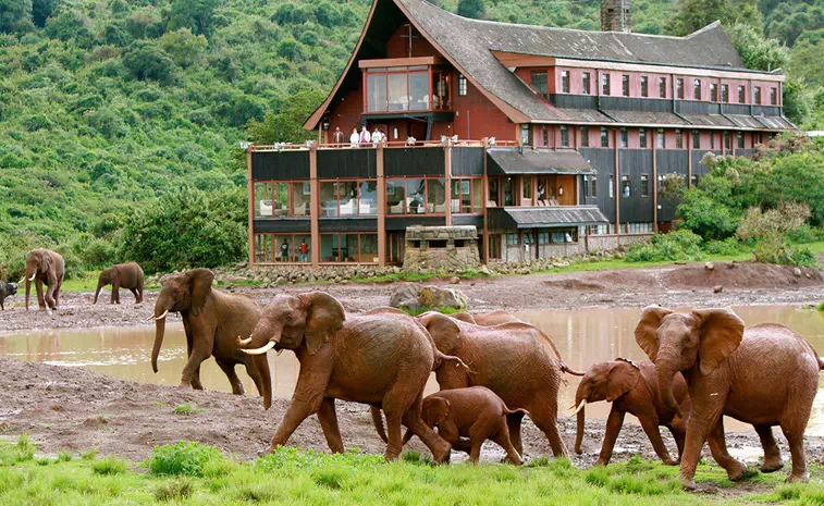 Aberdare National Park