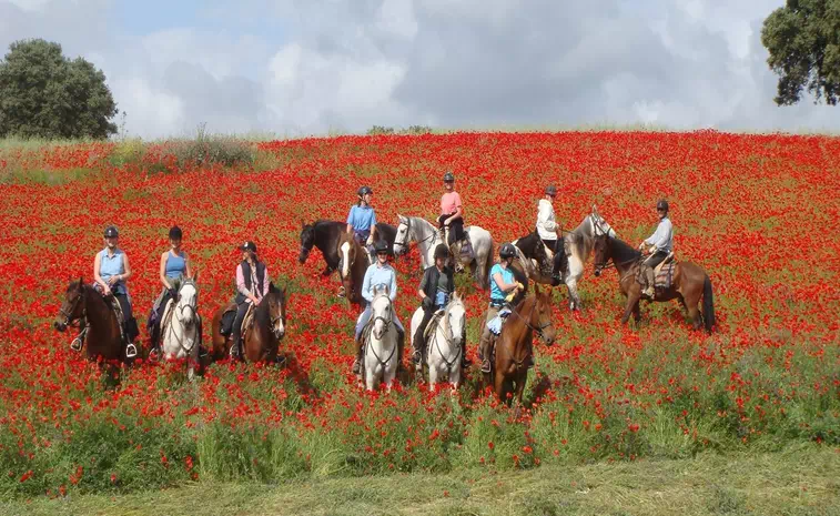 Alentejo by Horseback