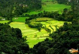 What Are The Top Places To Visit In Coorg?