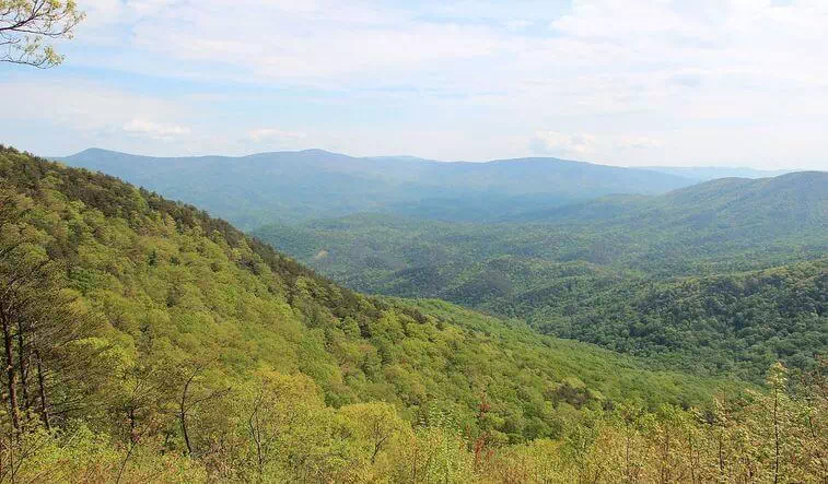 Chattahoochee National Forest