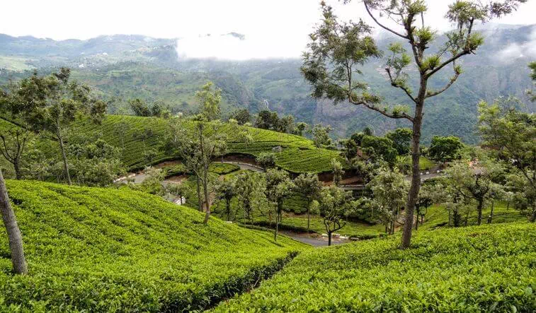 Coonoor