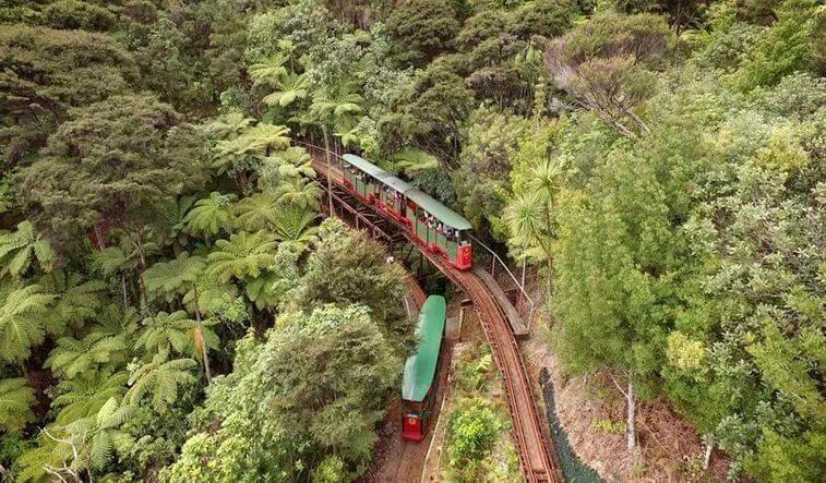 Driving Creek Railway