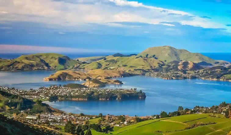 Dunedin