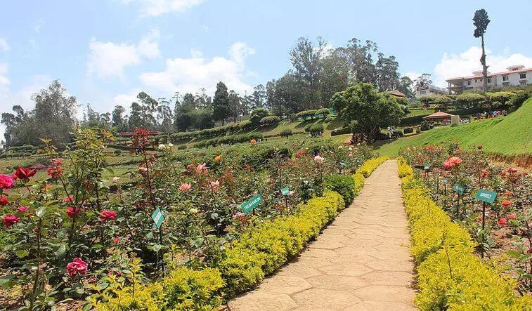 Government Rose Garden