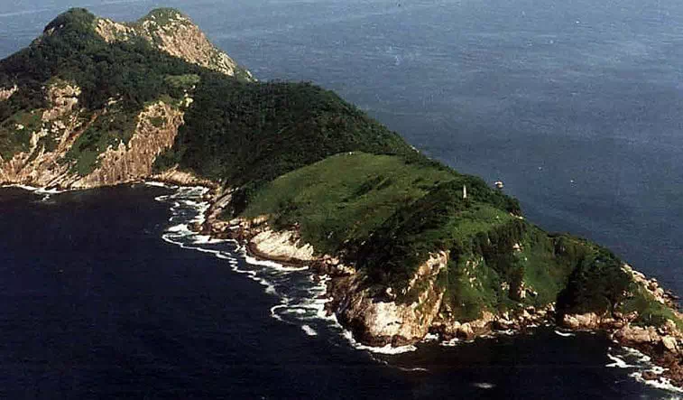 Ilha da Queimada Grande: Brazil