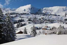 Information About The Leysin Village Municipality Of Switzerland