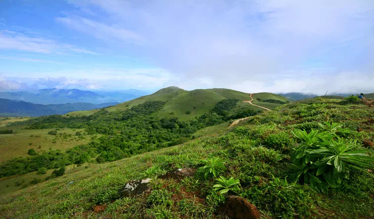 Mandalpatti View point