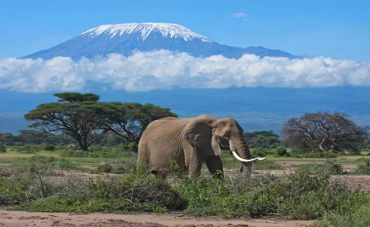 Mount Kenya National Park