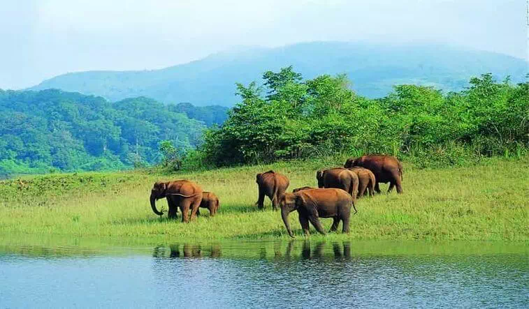 Mudumalai National Park