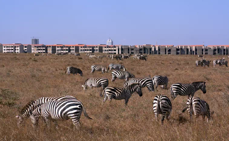 Nairobi National Park