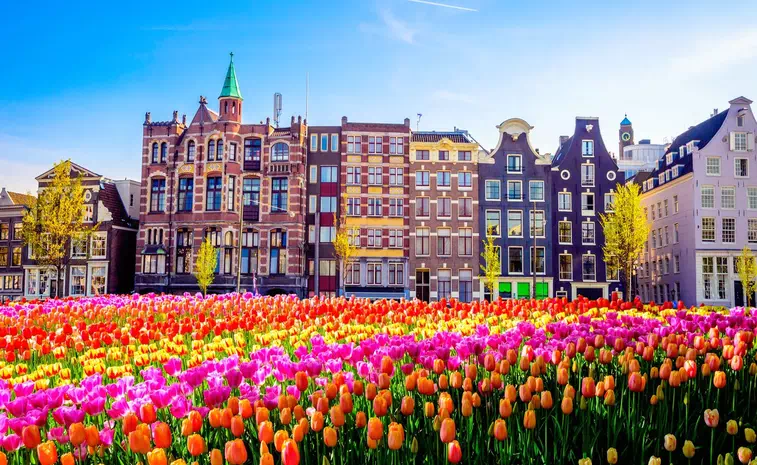 Tourist Attractions Places To Visit In Netherlands