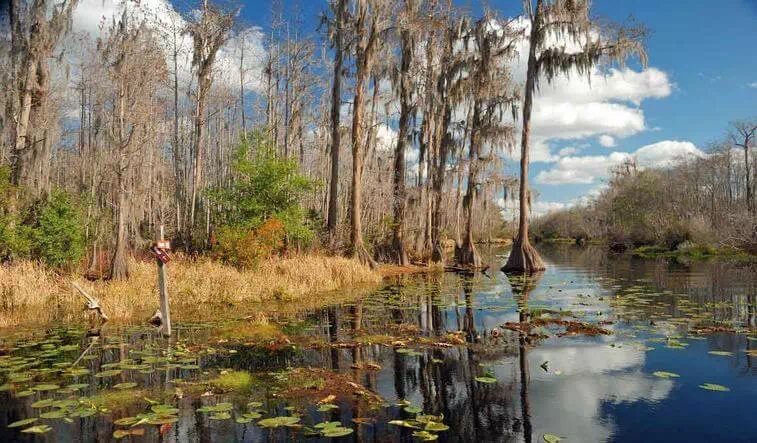 Okefenokee National wildlife Refuge