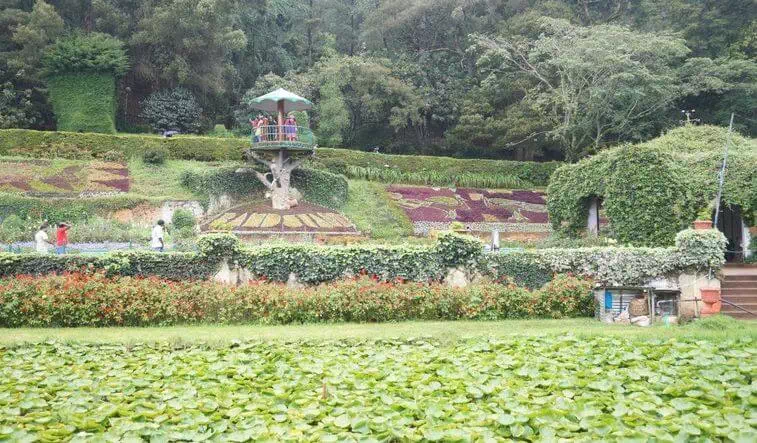 Ooty Botanical Gardens