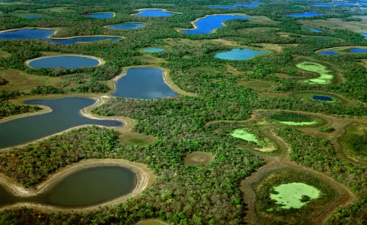 Pantanal Matogrossense National Park