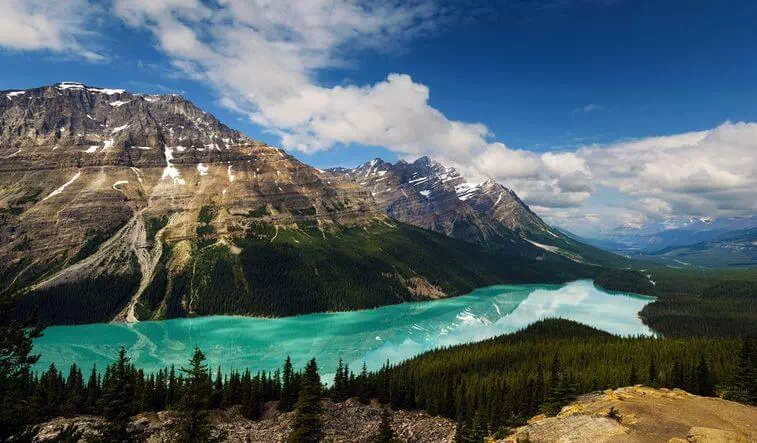 Peyto lake