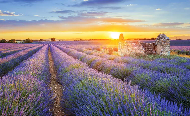 Provence