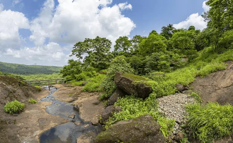 Sanjay Gandhi National Park (Mumbai)