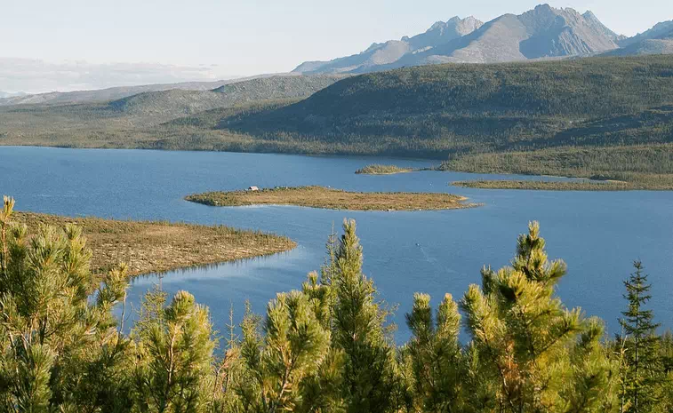 Taiga Biome Interesting Facts